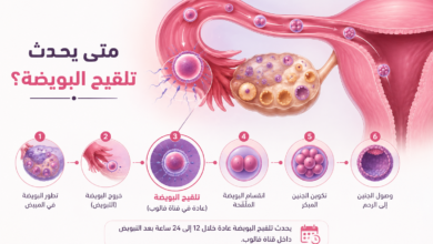 Photo of متى يحدث تلقيح البويضة